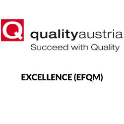 Excellence (EFQM)